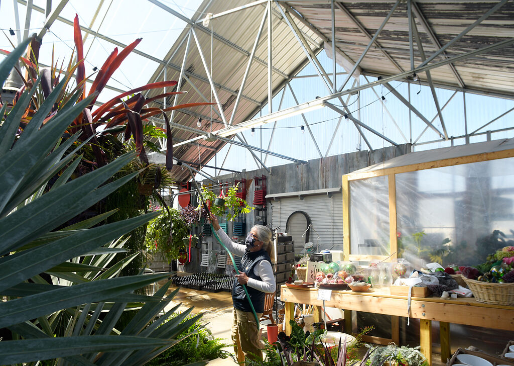Helmi Sheely, owner of Helmi's Garden, waters plants